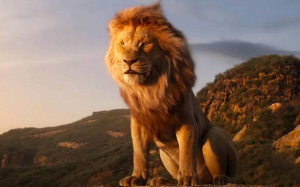 rey leon