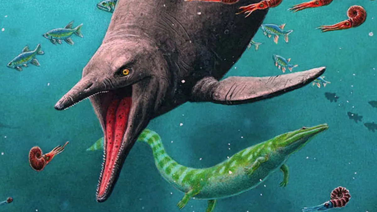 ictiosaurio, un enorme reptil marino extinto desde hace millones de años.