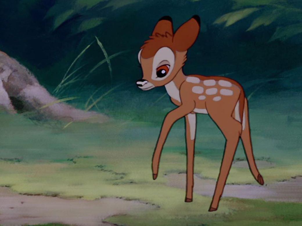 bambi live action