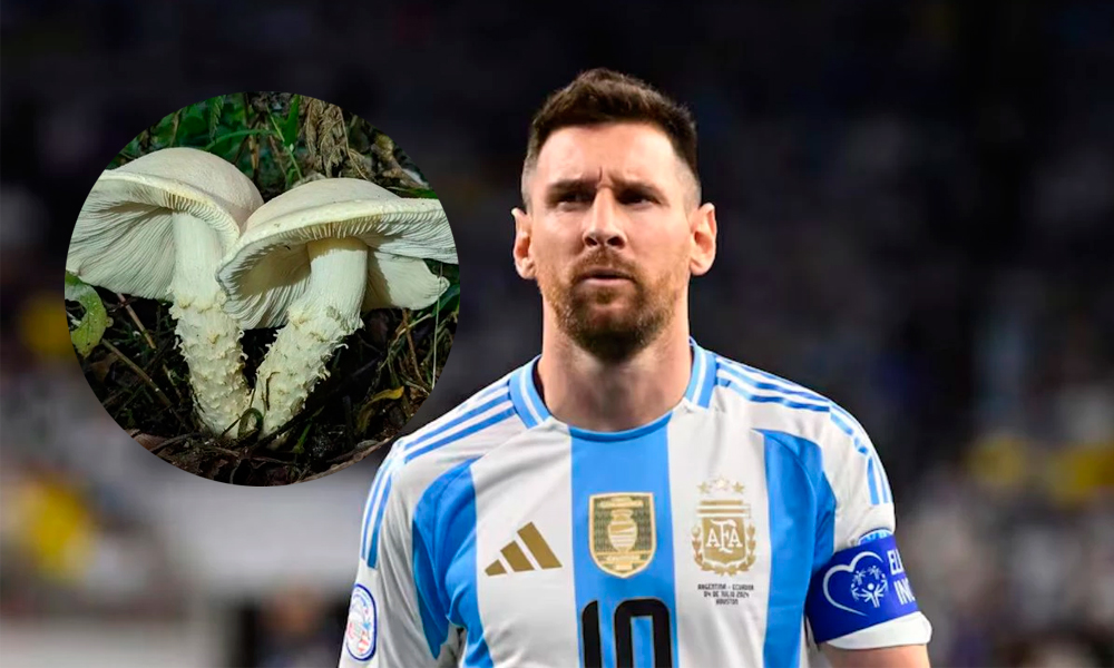 hongo messi hallazgo